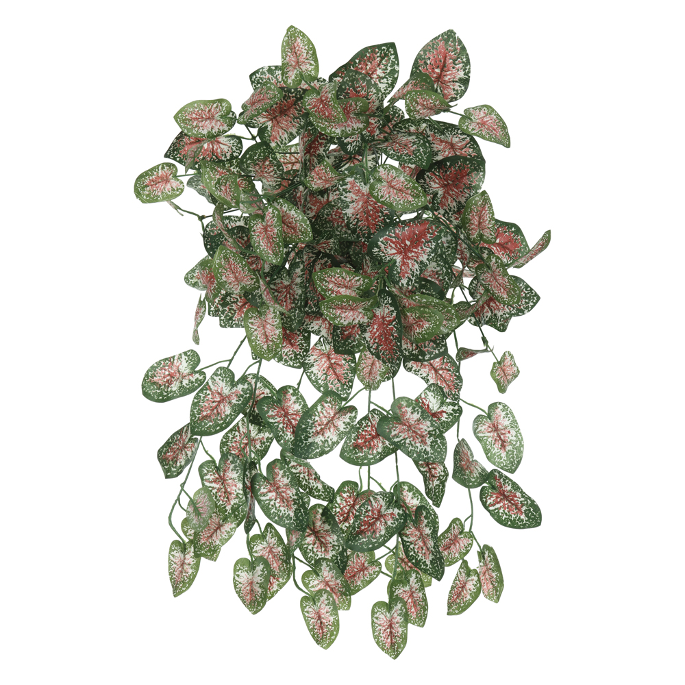 F.CALADIUM PENDURAR X168 (VERDE VERMELHO) 64cm