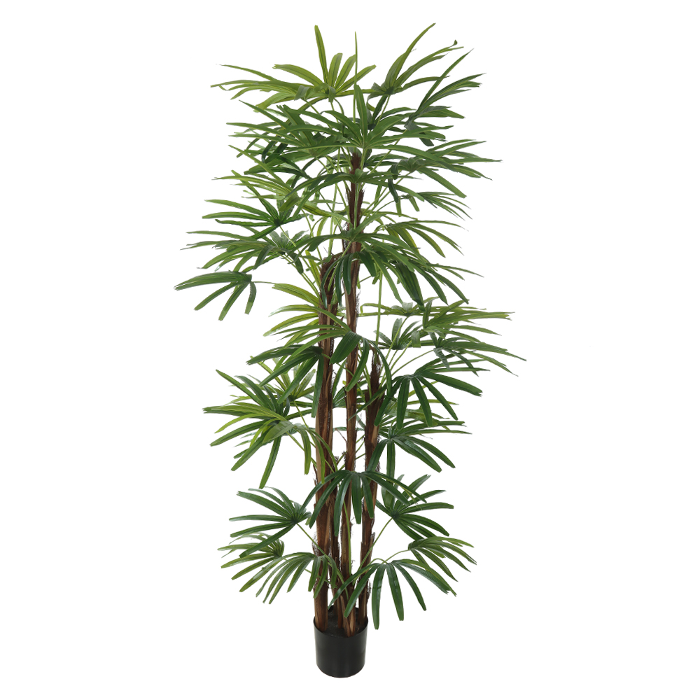 A.PALMEIRA RAPHIS REAL TOQUE C/POTE X51 (VERDE) 1,9m