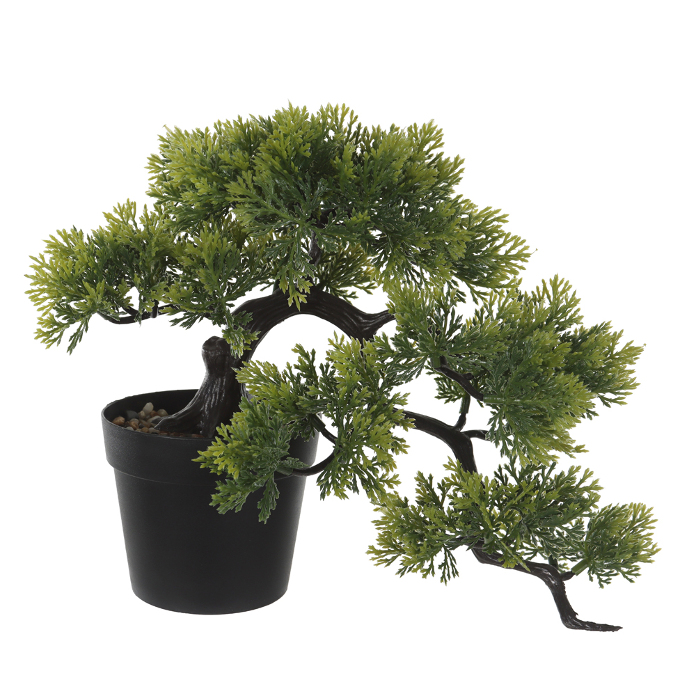 A.BONSAI C/POTE PLASTICO X42 (VERDE) 21cm