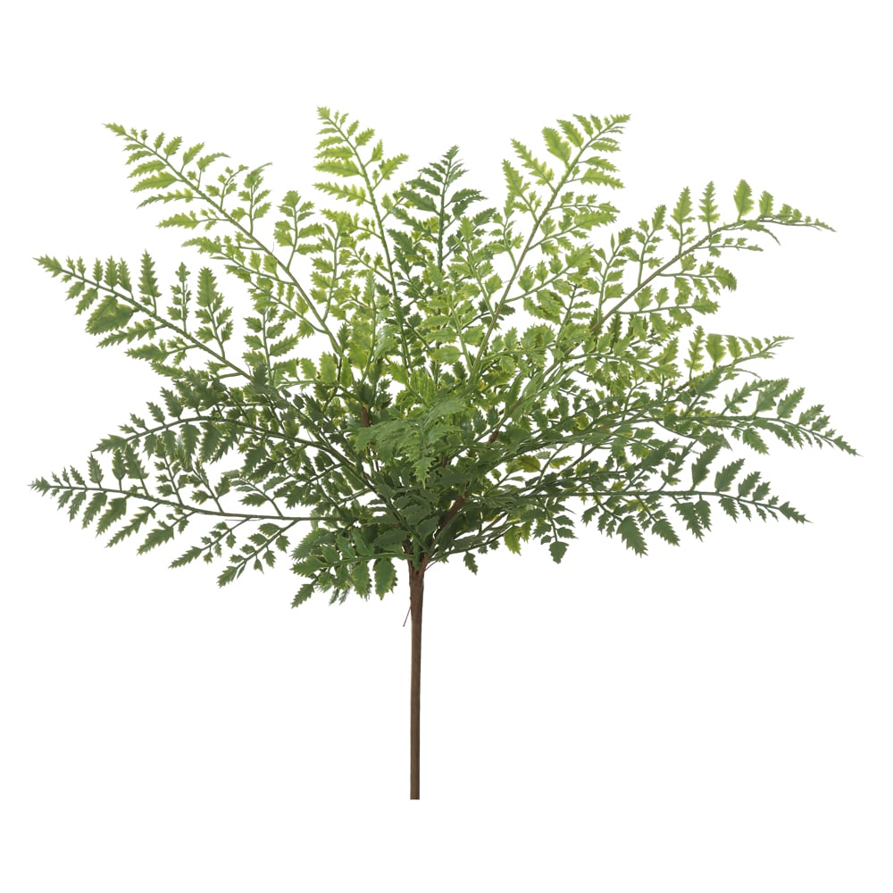 F.AVENQUINHA PLASTICO X13 (VERDE) 50cm