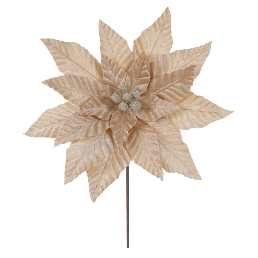 H.BICO DE PAPAGAIO NATAL AVELUDADO (CHAMPANHE) 30cm 35d 18P