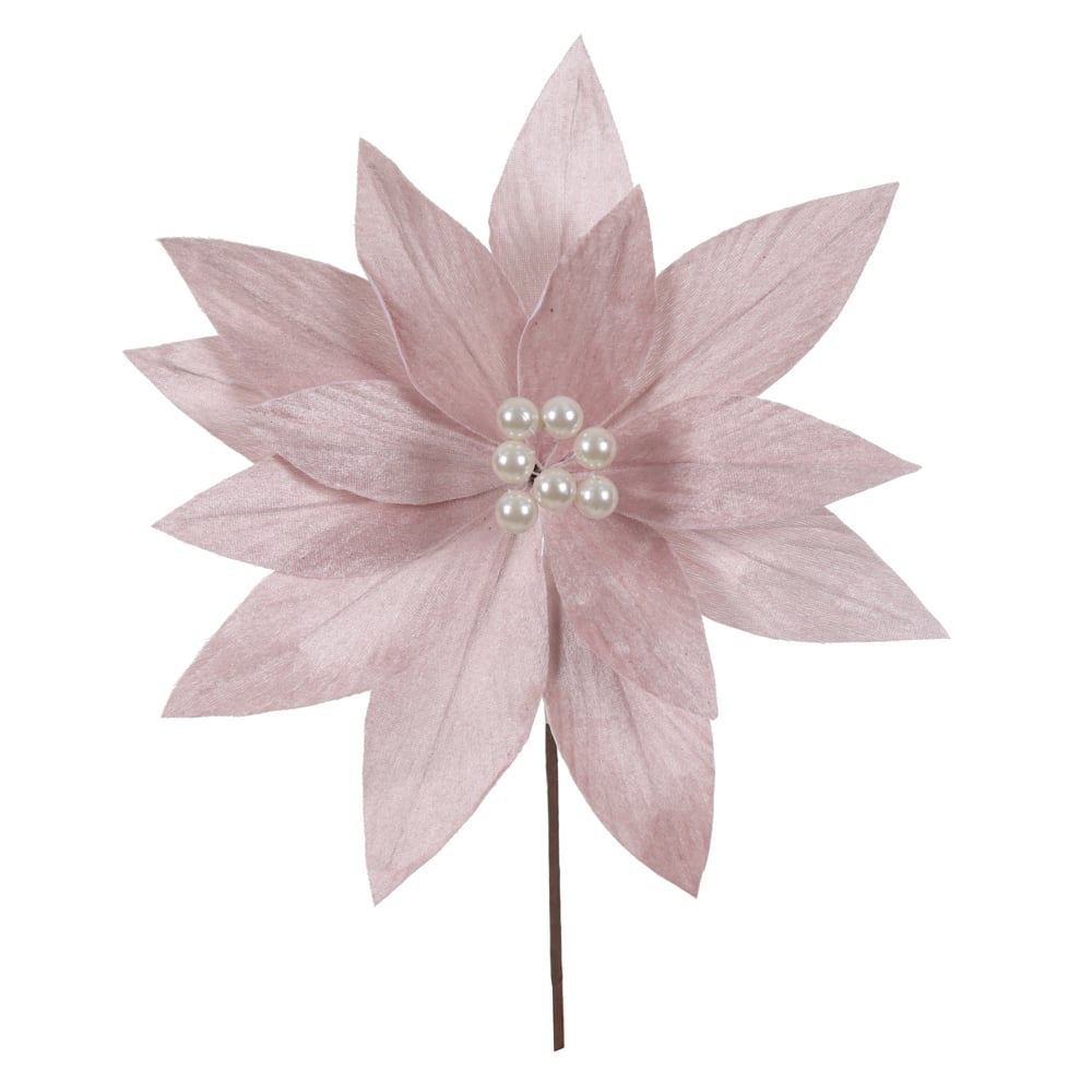 H.BICO DE PAPAGAIO NATAL AVELUDADO (ROSA CLARO) 25cm 30d 14P