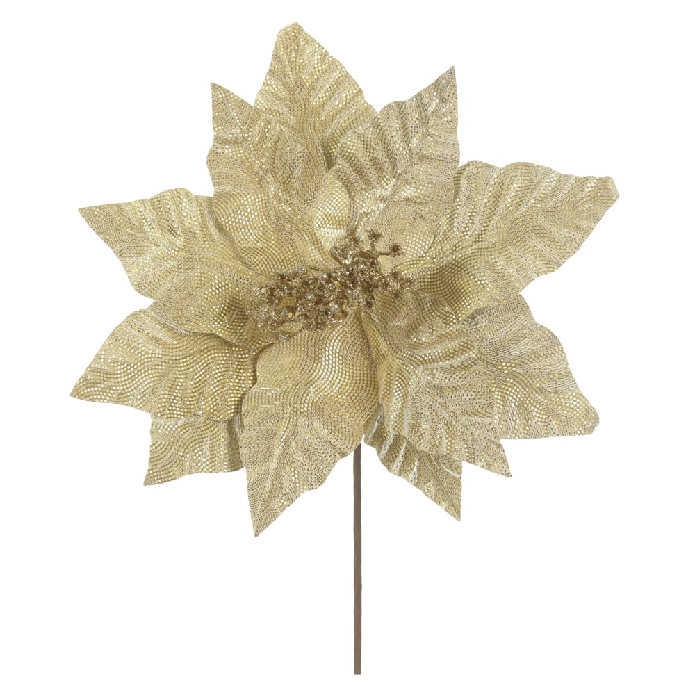 H.BICO DE PAPAGAIO NATAL (DOURADO) 25cm 31d 11P