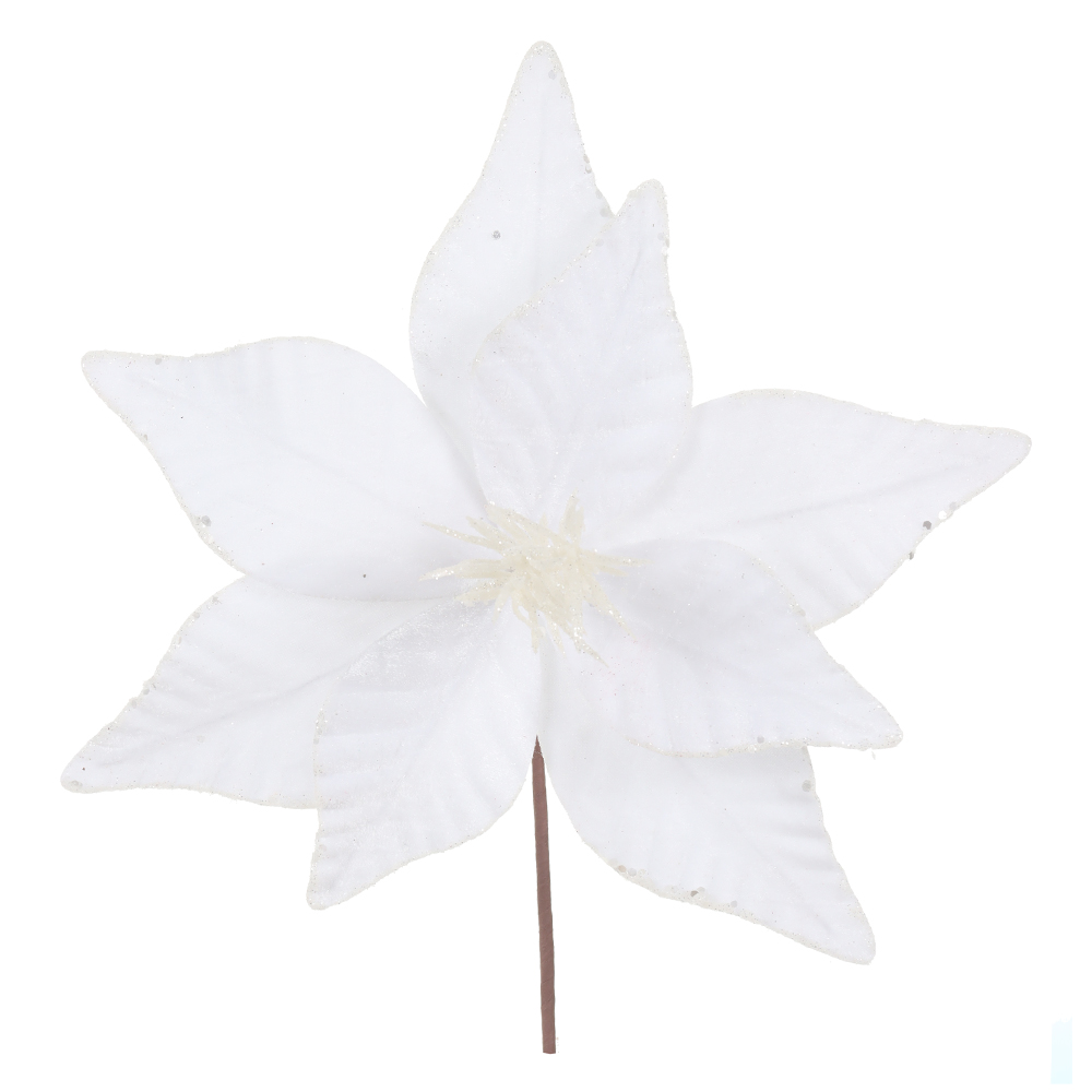 H.BICO DE PAPAGAIO NATAL AVELUDADO (BRANCO) 24cm 31d 8P