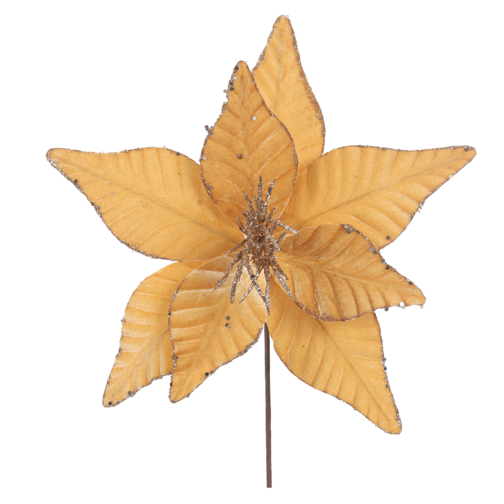 H.BICO DE PAPAGAIO NATAL AVELUDADO (CHAMPANHE) 24cm 31d 8P