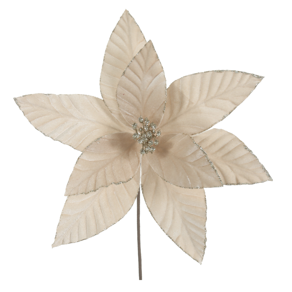 H.BICO DE PAPAGAIO NATAL AVELUDADO (CHAMPANHE GLITTER CHAMPANHE) 25cm 33d 9P