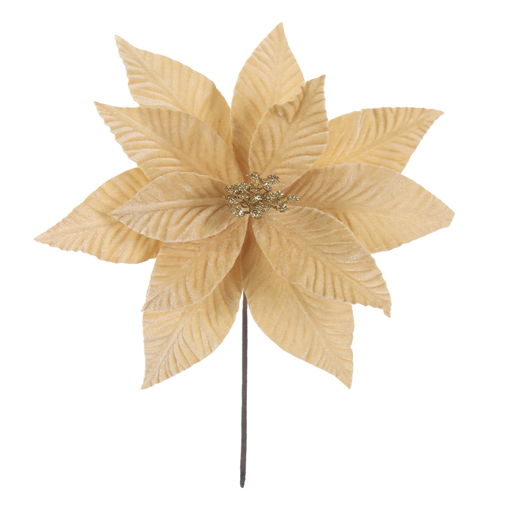 H.BICO DE PAPAGAIO NATAL AVELUDADO (CHAMPANHE GLITTER CHAMPANHE) 25cm 30d 12P