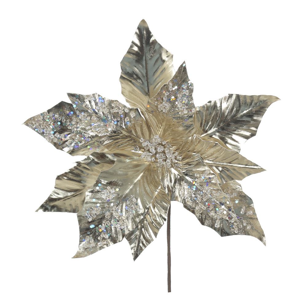 H.BICO DE PAPAGAIO NATAL (CHAMPANHE) 25cm 30d 11P