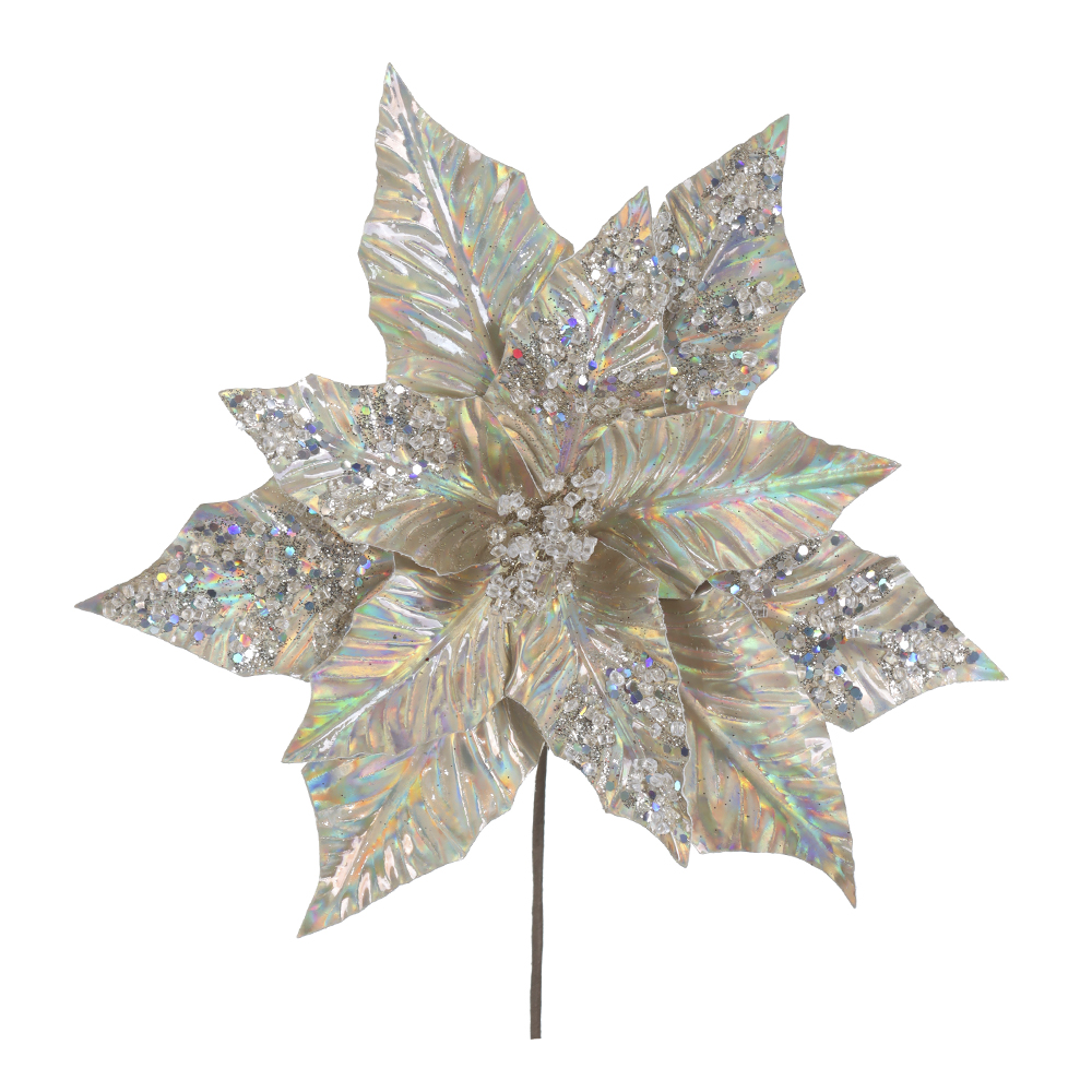 H.BICO DE PAPAGAIO NATAL (IRIDESCENTE) 25cm 30d 11P