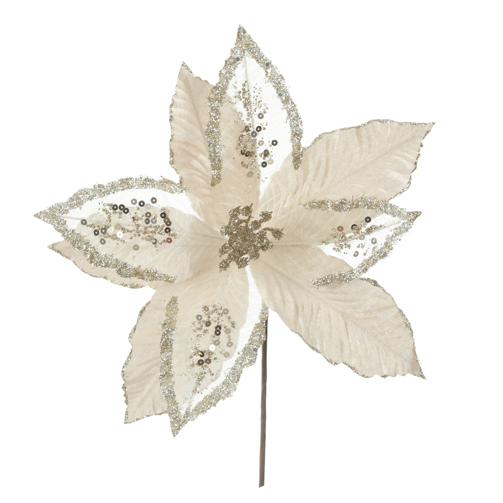 H.BICO DE PAPAGAIO NATAL AVELUDADO (CHAMPANHE GLITTER CHAMPANHE) 25cm 30d 9P