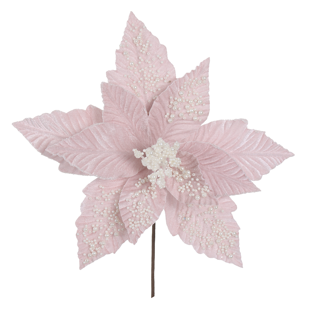 H.BICO DE PAPAGAIO NATAL AVELUDADO (ROSA CLARO) 25cm 30d 11P