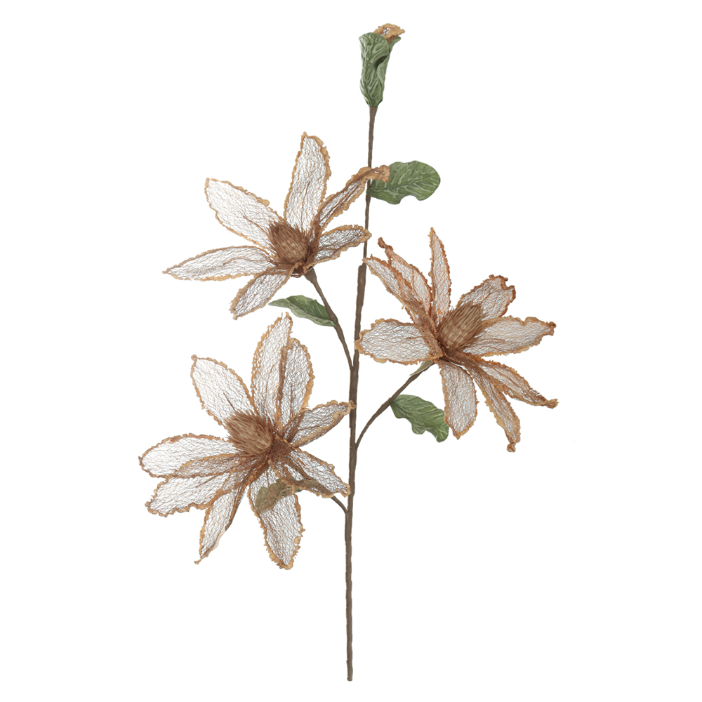 H.MAGNOLIA X4 (PESSEGO) 1,08m