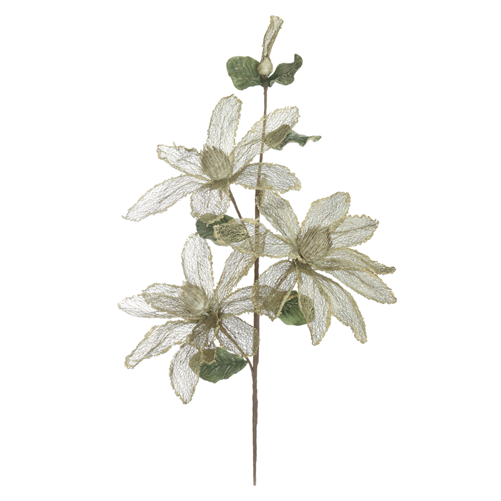H.MAGNOLIA X4 (VERDE OLIVA) 1,08m