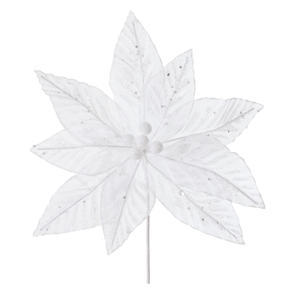 H.BICO DE PAPAGAIO NATAL (TRANSPARENTE) 25cm 33d 9P