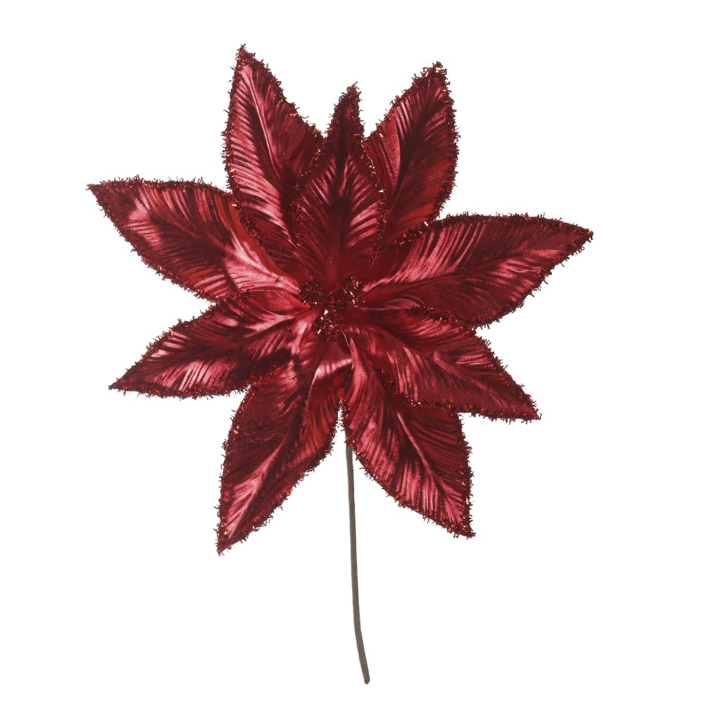 H.BICO DE PAPAGAIO NATAL (VERMELHO) 25cm 33d 9P
