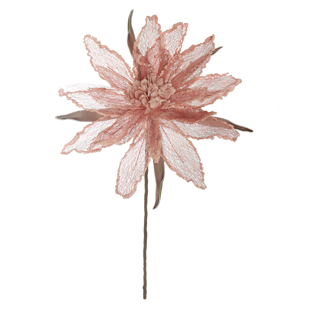 H.MAGNOLIA (ROSA) 80cm