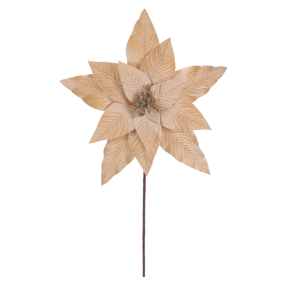 H.BICO DE PAPAGAIO NATAL AVELUDADO (CHAMPANHE) 25cm 34d 12P