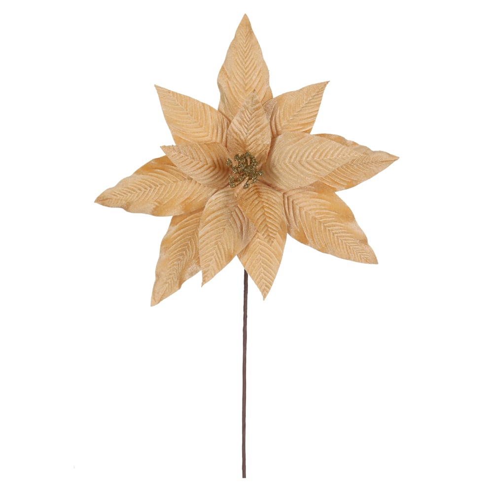 H.BICO DE PAPAGAIO NATAL AVELUDADO (DOURADO) 25cm 34d 12P