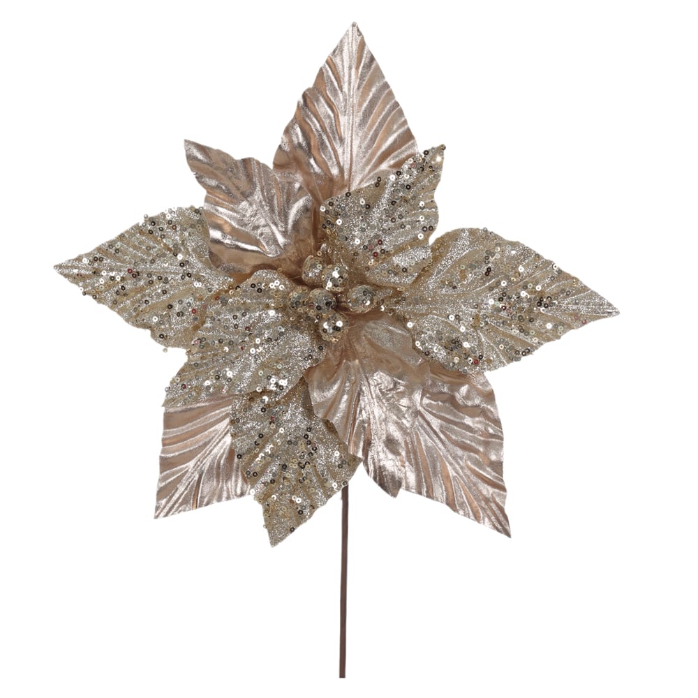 H.BICO DE PAPAGAIO NATAL (CHAMPANHE) 25cm 32d 9P