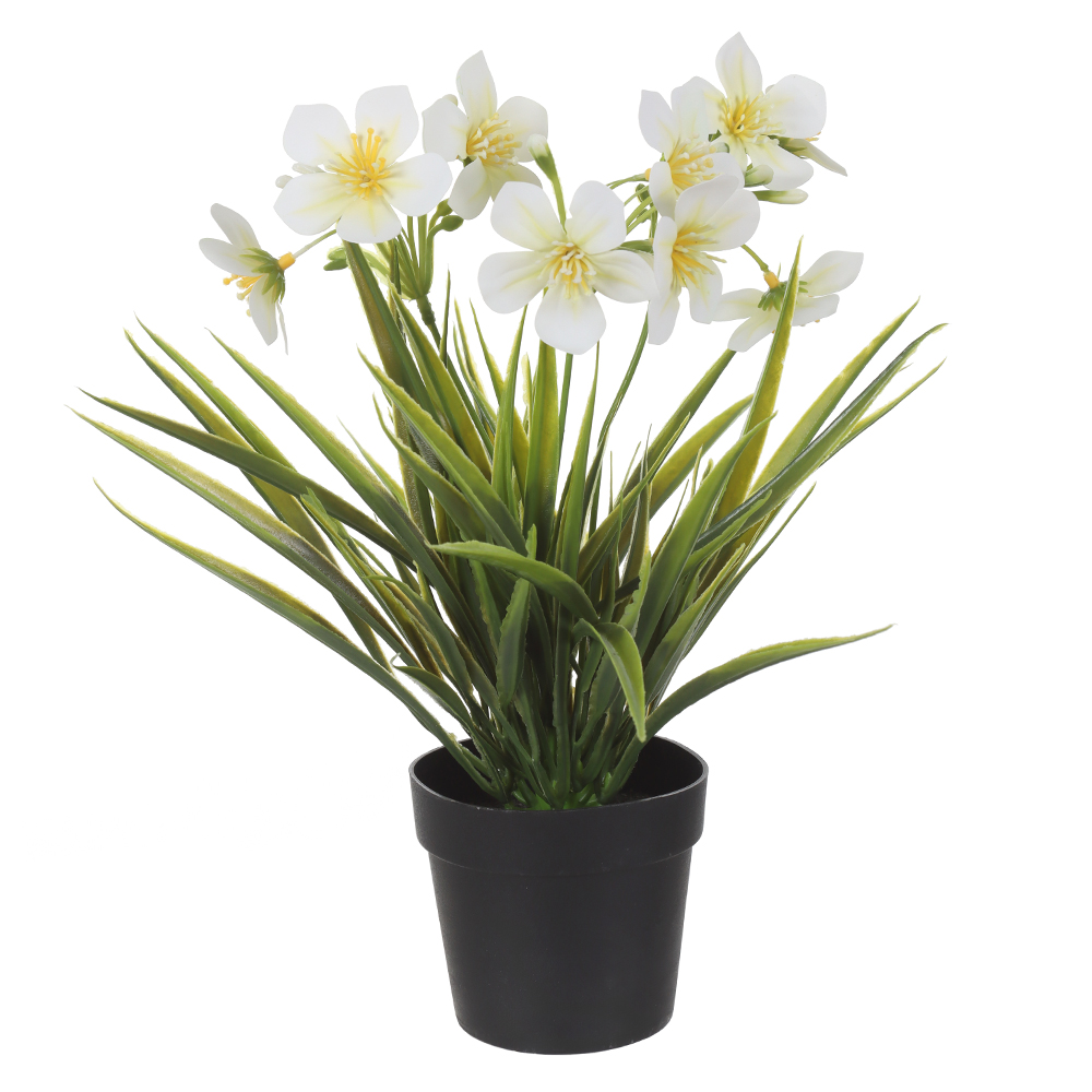 F.GRASS FLOR MINI C/POTE PLASTICO X9 (BRANCO) 28cm