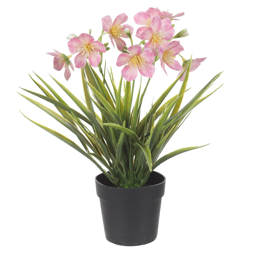 F.GRASS FLOR MINI C/POTE PLASTICO X9 (ROSA) 28cm