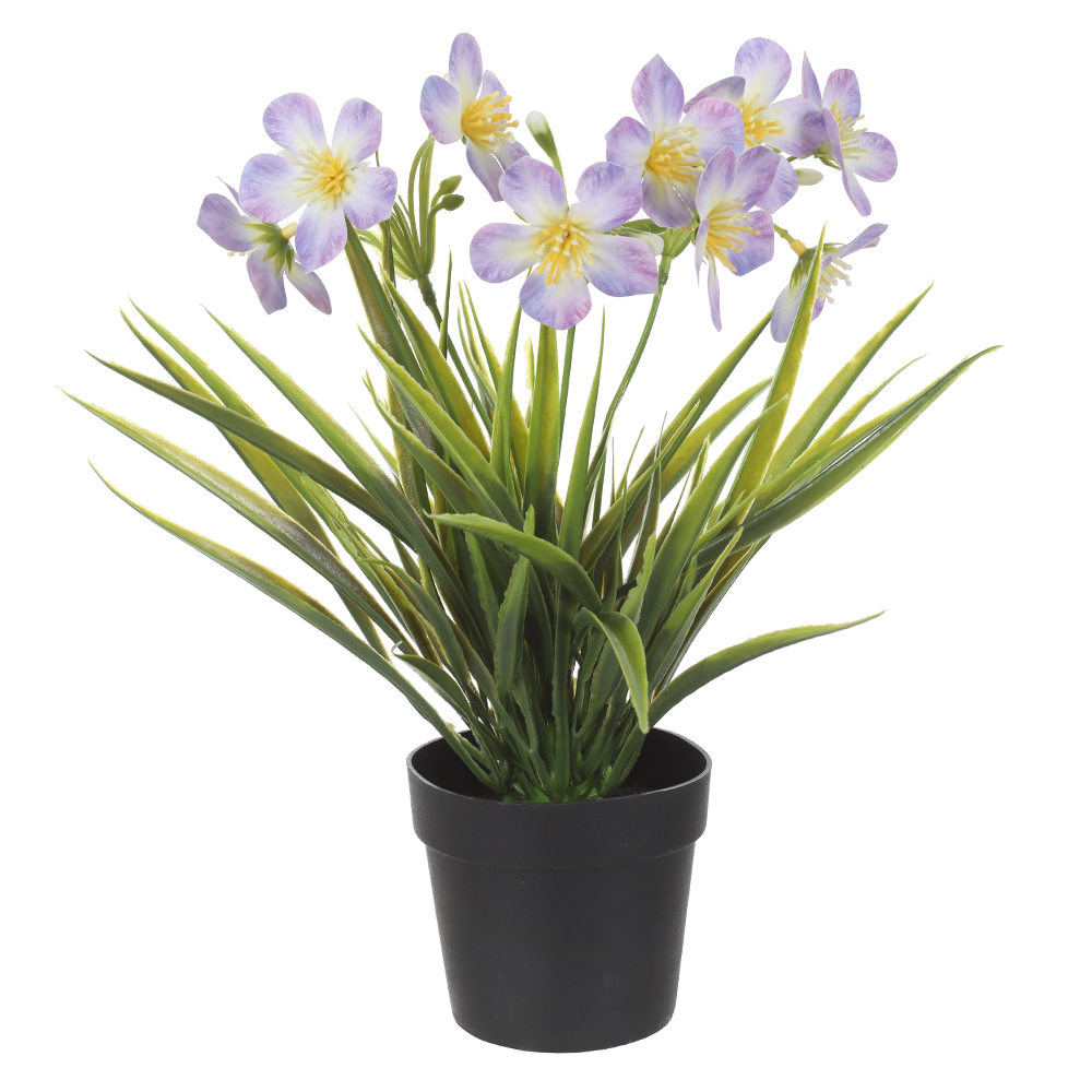 F.GRASS FLOR MINI C/POTE PLASTICO X9 (LAVANDA) 28cm