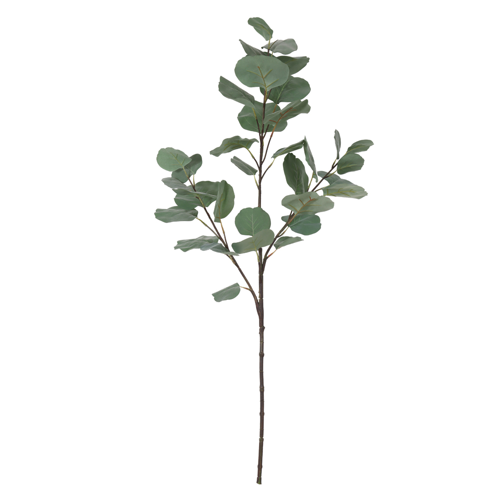 C.GALHO EUCALIPTO GIGANTE X35 (VERDE) 1,2m