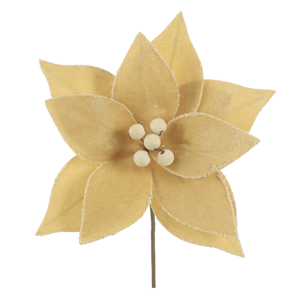 H.BICO DE PAPAGAIO NATAL AVELUDADO (CHAMPANHE) 15cm 20d 10P