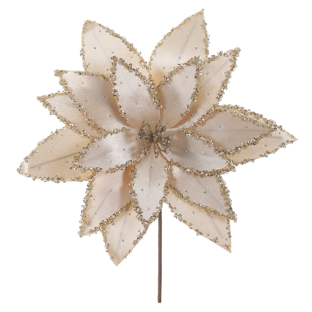 H.BICO DE PAPAGAIO NATAL (CHAMPANHE) 25cm 25d 17P