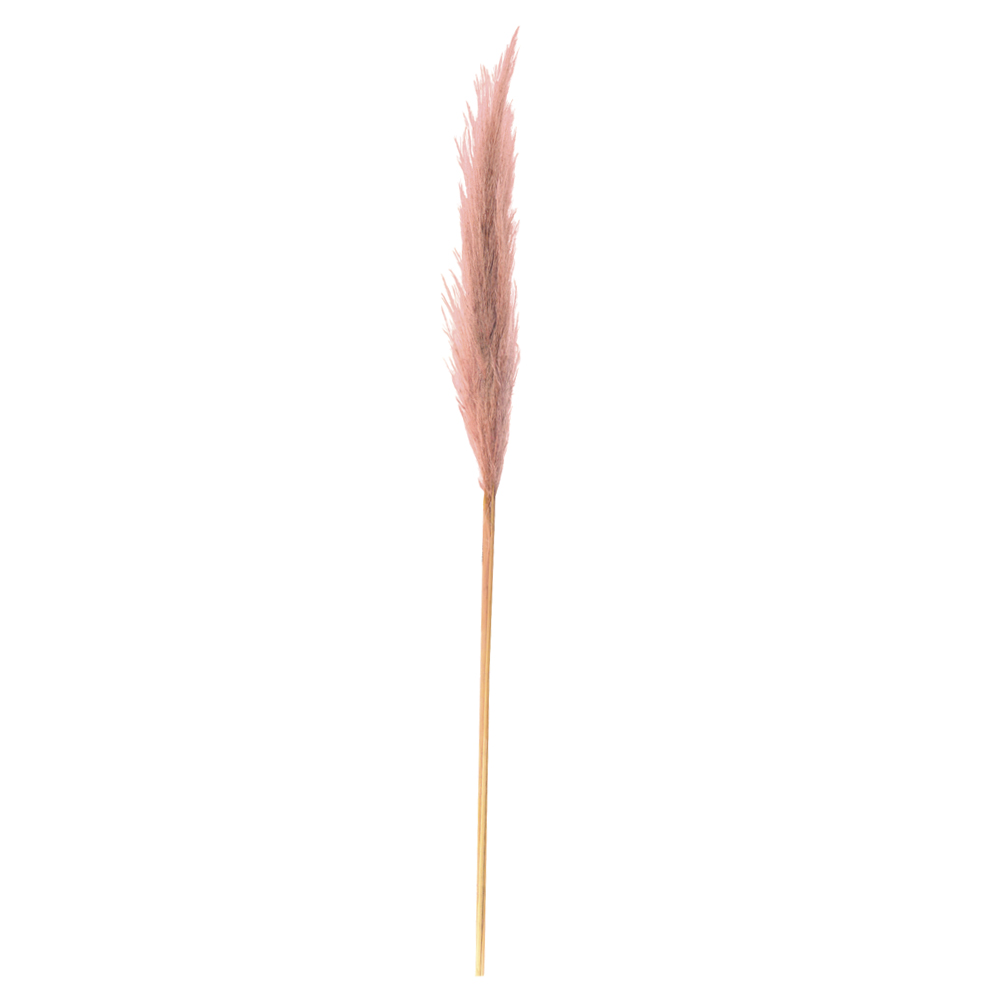 CAPIM DOS PAMPAS NATAL C/ 3 HASTES (ROSA) 170CM