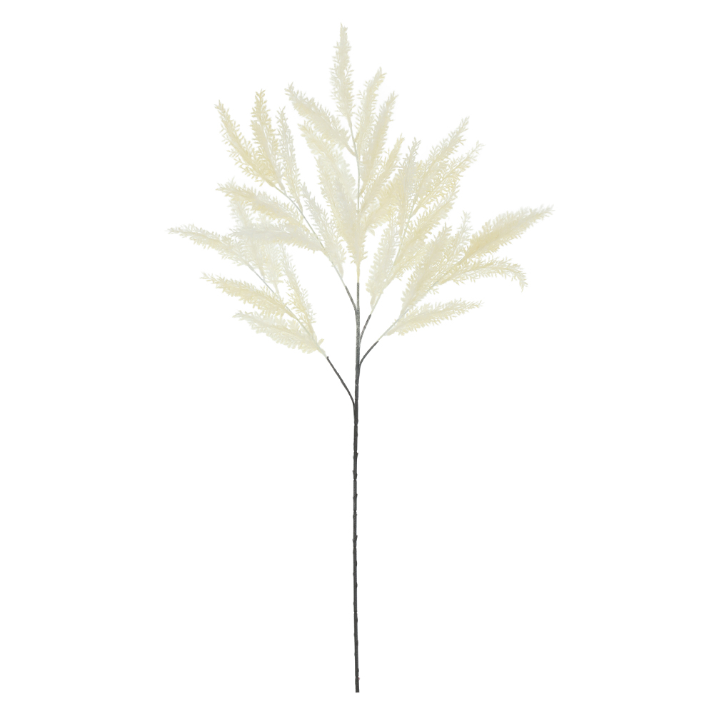 C.GALHO ASTILBE C/FLOCKED X30 (CREME) 80cm