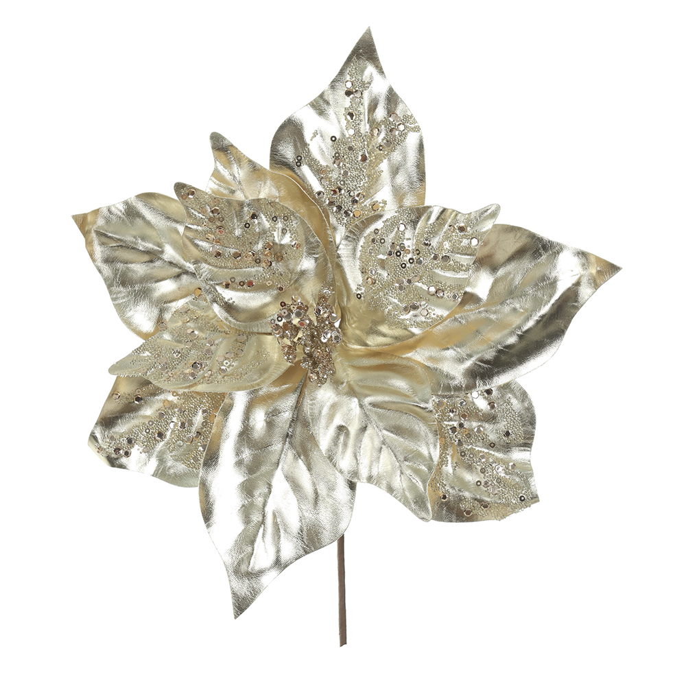 H.BICO DE PAPAGAIO NATAL (CHAMPANHE) 25cm 30d 11P
