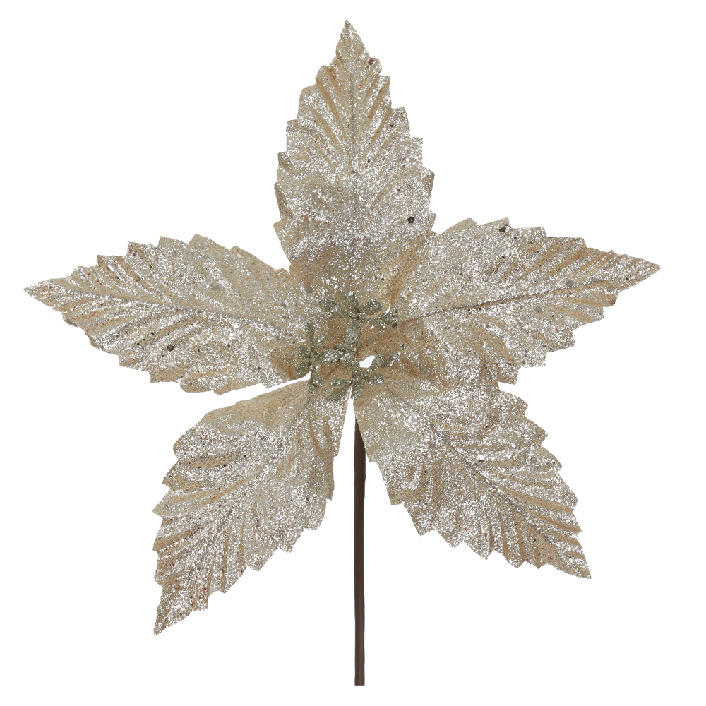 H.BICO DE PAPAGAIO NATAL (CHAMPANHE) 15cm 25d 5P