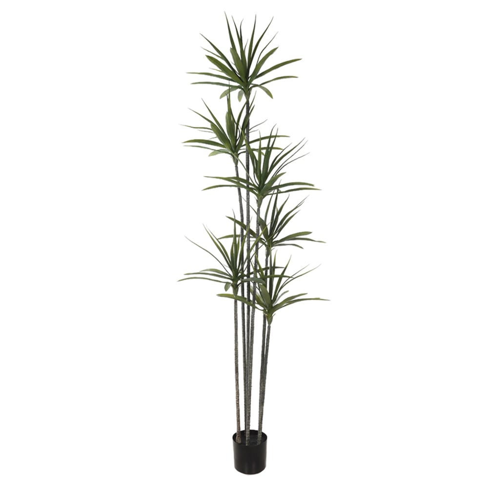 A.YUCCA C/POTE PLASTICO X120 (VERDE) 2,2m