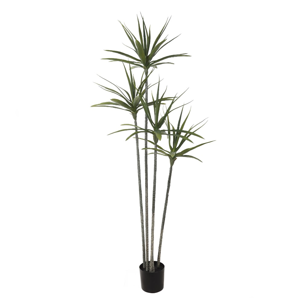 A.YUCCA C/POTE PLASTICO X78 (VERDE) 1,6m