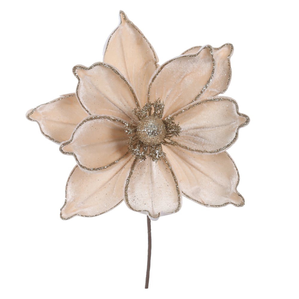 H.MAGNOLIA NATAL AVELUDADO (CHAMPANHE GLITTER CHAMPANHE) 25cm 24d 10P