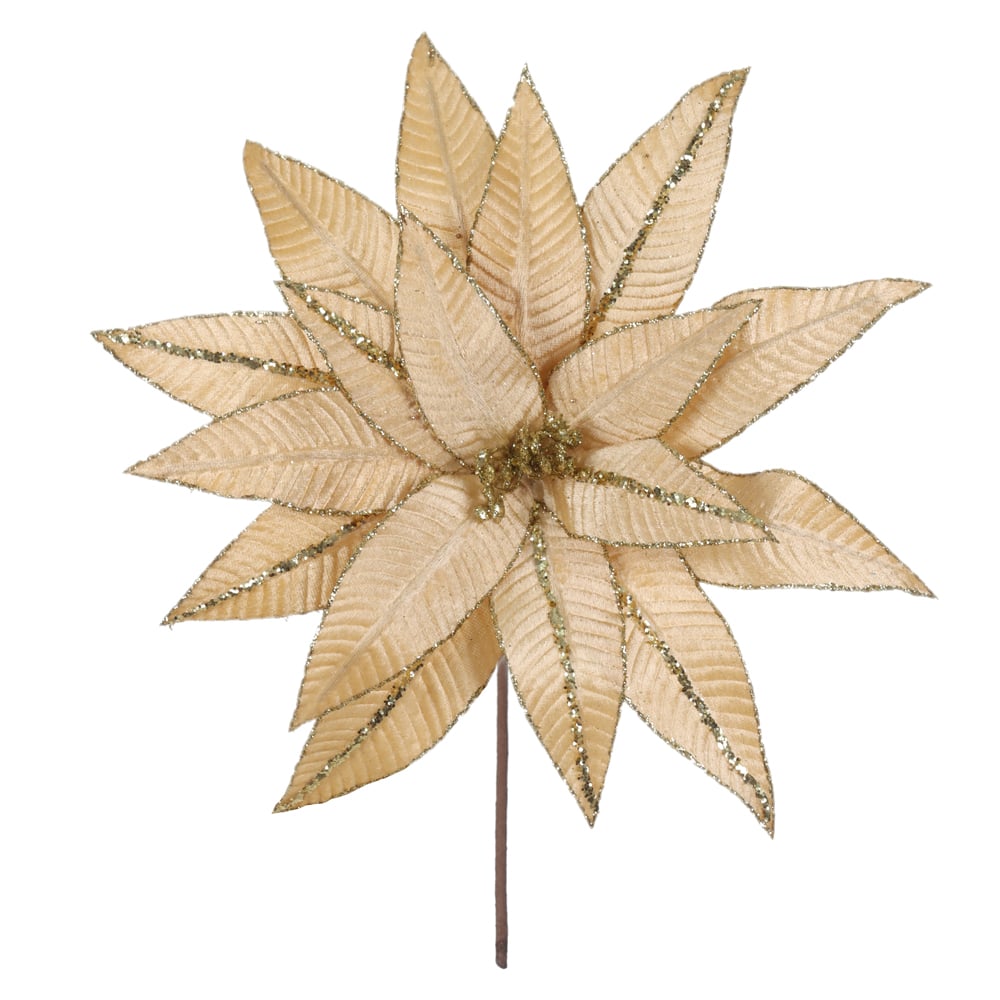 H.BICO DE PAPAGAIO AVELUDADO NATAL (DOURADO) 25cm 34d 17P