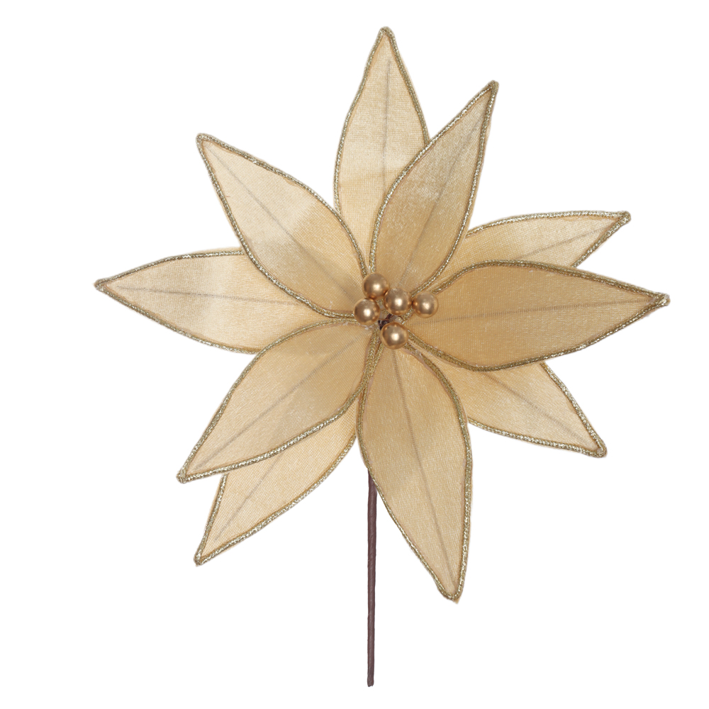 H.BICO DE PAPAGAIO NATAL AVELUDADO (DOURADO) 20cm 30d 10P