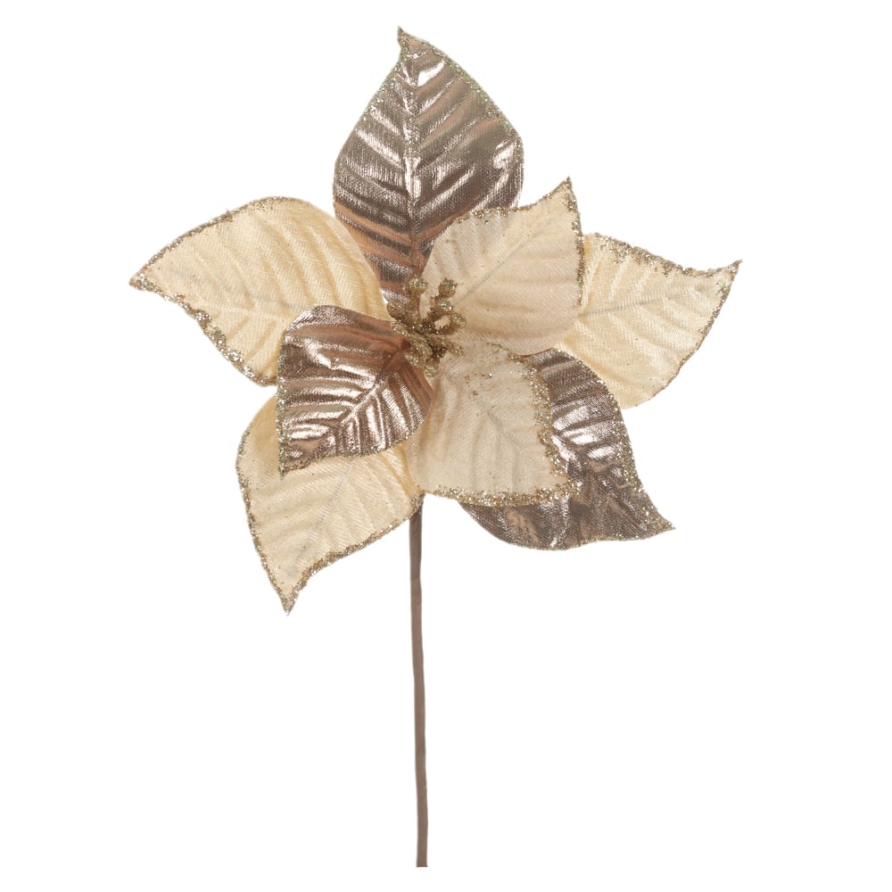 H.BICO DE PAPAGAIO NATAL AVELUDADO (CHAMPANHE) 36cm 19d 8P