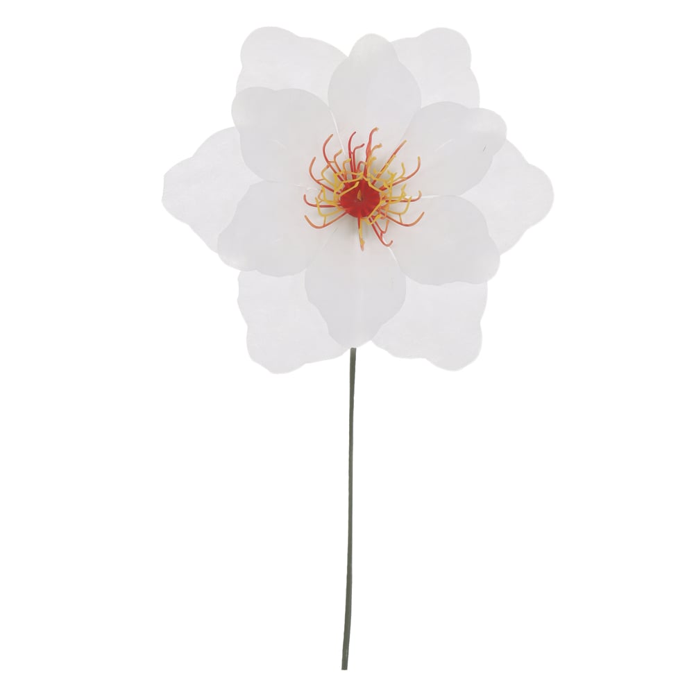 B.PEONIA CABECA X30 (BRANCO) 19cm