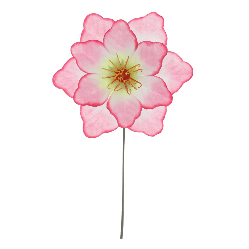 B.PEONIA CABECA X30 (ROSA) 19cm