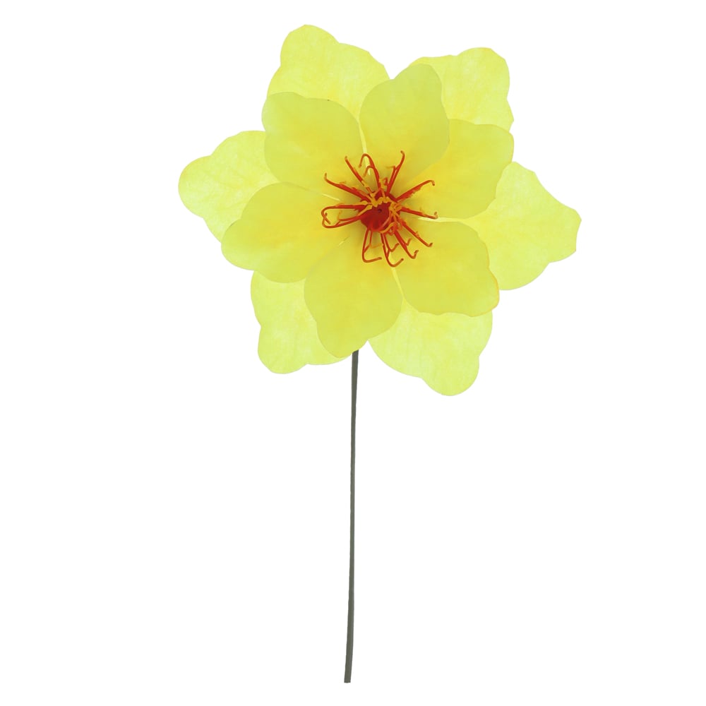 B.PEONIA CABECA X30 (AMARELO) 19cm