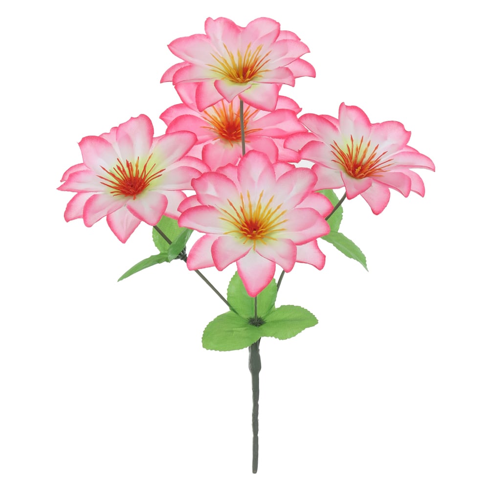 B.DALIA X5 (ROSA) 30cm