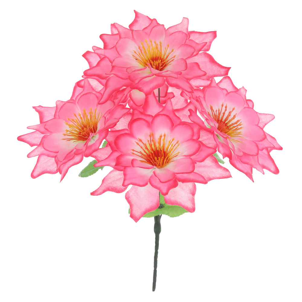 B.DALIA X5 (ROSA) 30cm