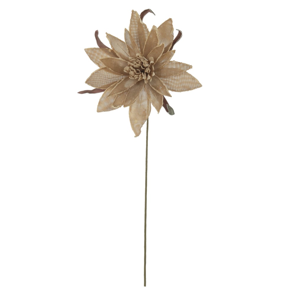 H.MAGNOLIA (CHA) 84cm