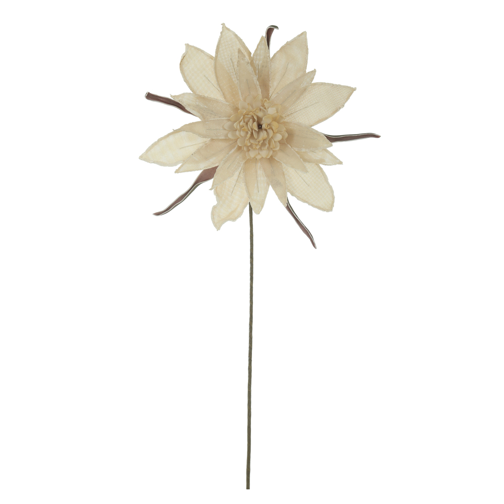 H.MAGNOLIA (CREME) 84cm