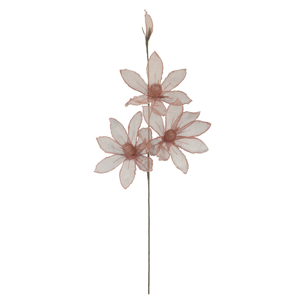 H.MAGNOLIA X4 (ROSA ANTIGO) 1,12m