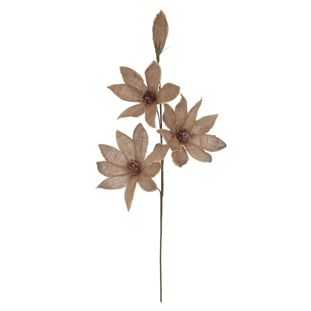 H.MAGNOLIA X4 (CHA) 1,08m