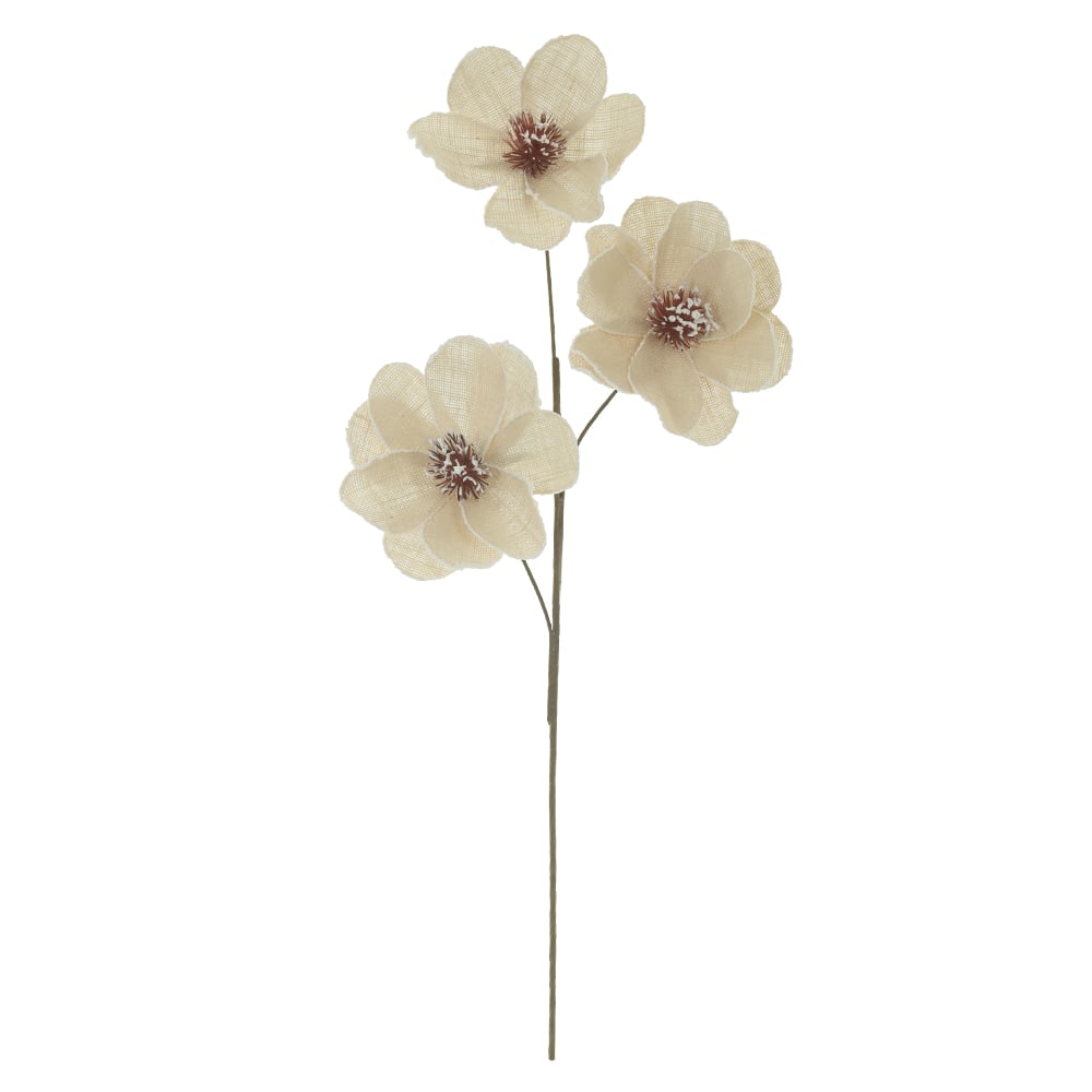 H.FLOR X3 (CREME) 1m