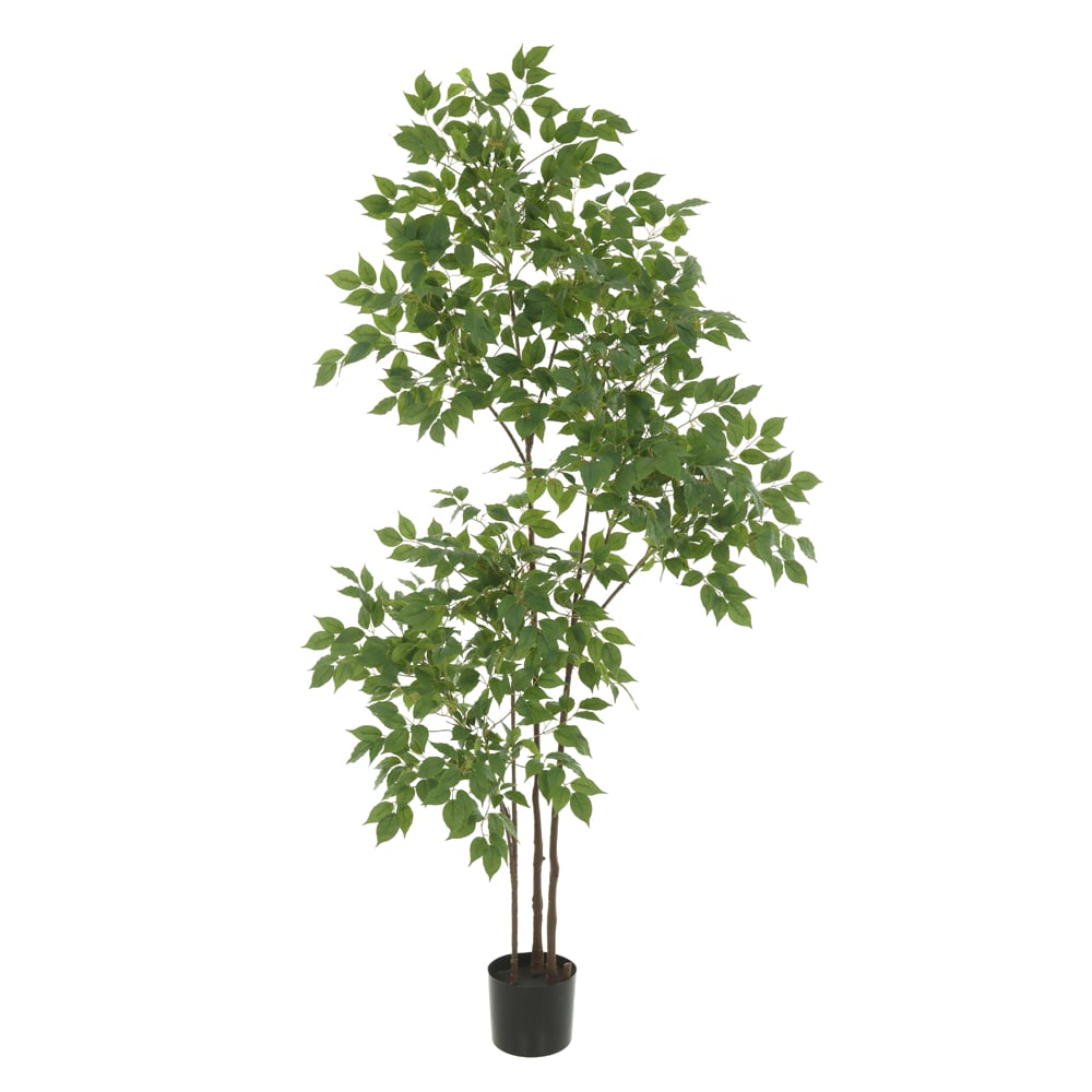 A.FICUS REAL TOQUE C/POTE X1389 (VERDE) 1,8m
